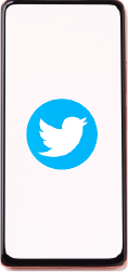 Twitter is one of the most well-knowm platforms of social media that it is found in every phone.